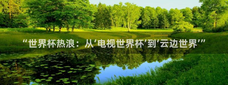 世界杯葡萄牙赛程:“世界杯热浪:从‘电视世界杯’到‘云边世界’”