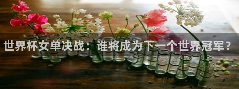 世界杯2026赛程时间表格:世界杯女单决战:谁将成为下一个世界冠军?