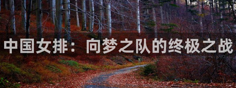 免费足球比赛直播高清:中国女排:向梦之队的终极之战