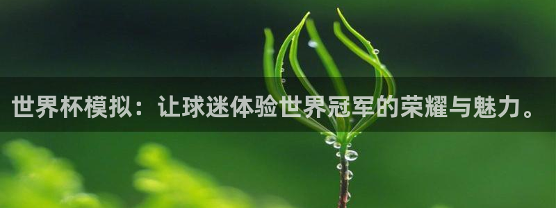 欧洲世界杯预选赛赛程:世界杯模拟:让球迷体验世界冠军的荣耀与魅力。