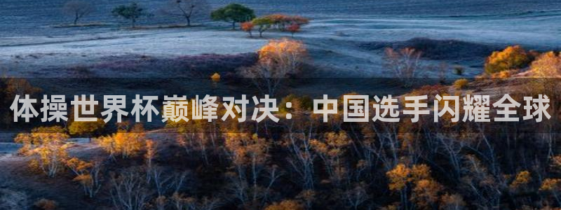 2026足球世界杯赛程:体操世界杯巅峰对决:中国选手闪耀全球