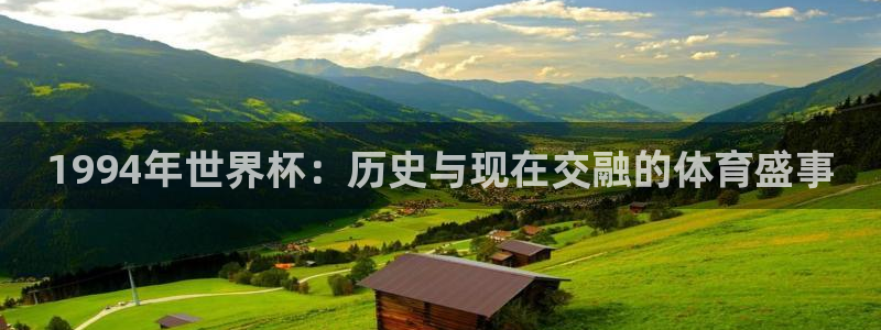 美国世界杯:1994年世界杯:历史与现在交融的体育盛事