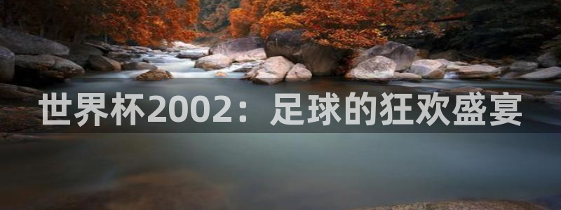 世界杯官网:世界杯2002:足球的狂欢盛宴