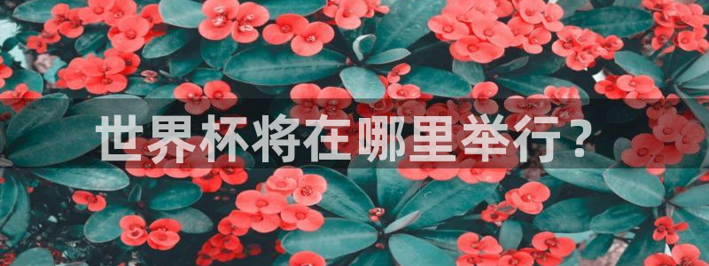 世界杯足球比赛:世界杯将在哪里举行?